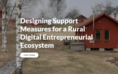 COM³ Training Solution: Designing Support Measures for a Rural Digital Entrepreneurial Ecosystem